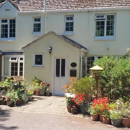 Coach House Cottage Bournemouth Exteriér fotografie